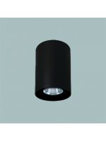 GFN WG713R 天花燈 (黑色)