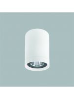 GFN WG713R 天花燈 (白色)