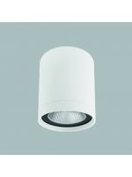 GFN WG715R 天花燈 (白色)