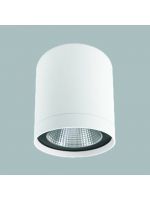 GFN WG716R 天花燈 (白色)