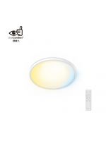 Philips VALEN 天花燈 22W (白色)