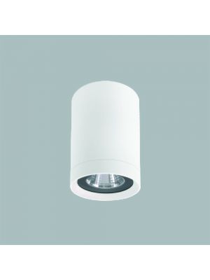 GFN WG713R  天花燈 (白色)