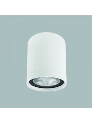 GFN WG715R 天花燈 (白色)