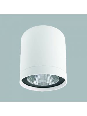 GFN WG716R 天花燈 (白色)