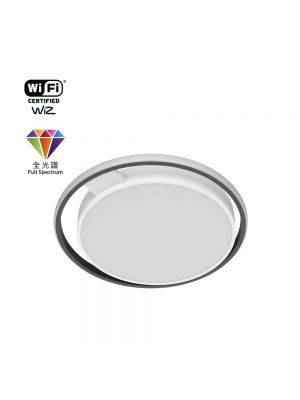 Philips CL869 天花燈 (灰色)