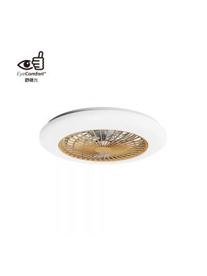 Philips AMIGO Ceiling Fan Light 20W+42W LED (木紋)