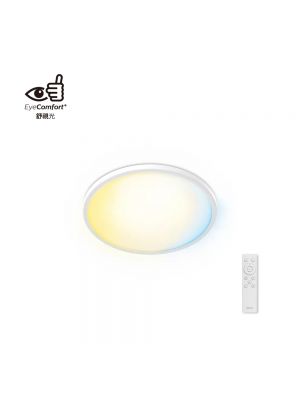 Philips VALEN 天花燈 22W (白色)