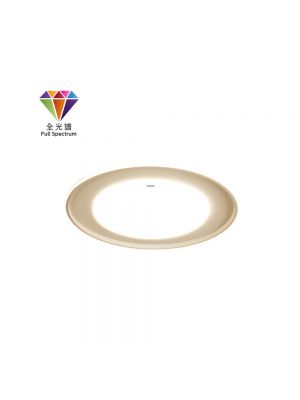 Philips CLVX304WH 天花燈 (白色)