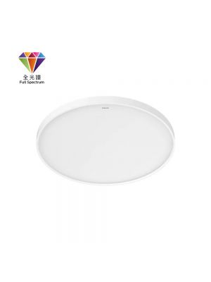 Philips ZX306 天花燈 (白色)