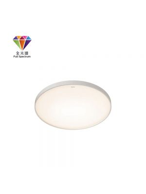 Philips ZX307 天花燈 (白色)