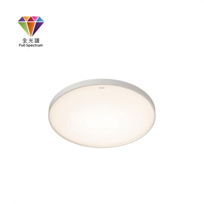 Philips ZX307 Ceiling Light (White)